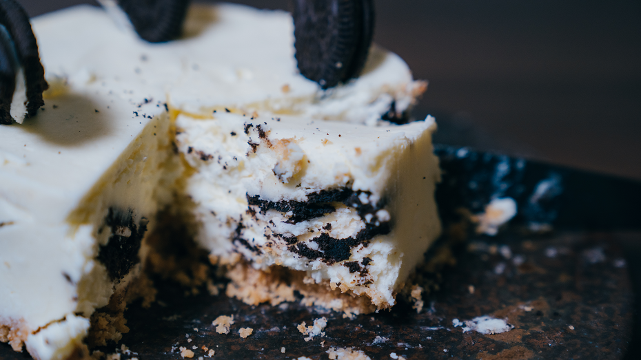 cafe The SUN LIVES HERE