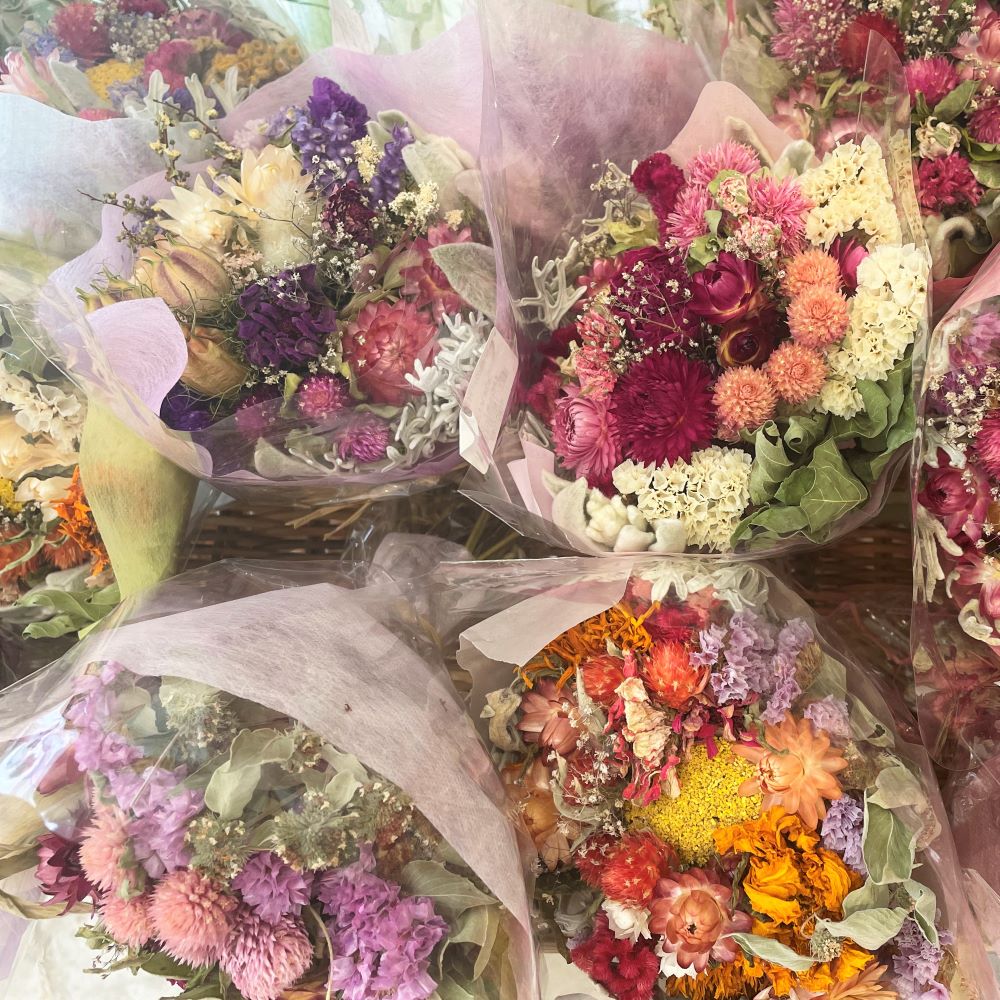 キャトル・セゾン